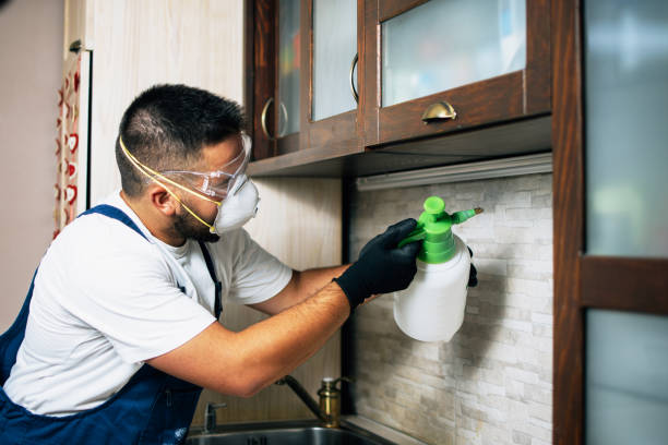 Velda City, MO Pest Control Company
