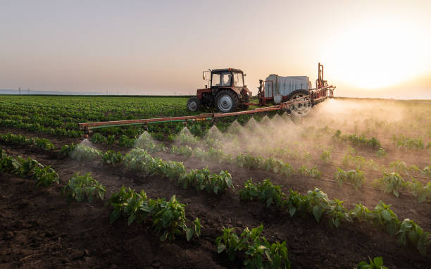 Best Pest Prevention Services  in Velda City, MO